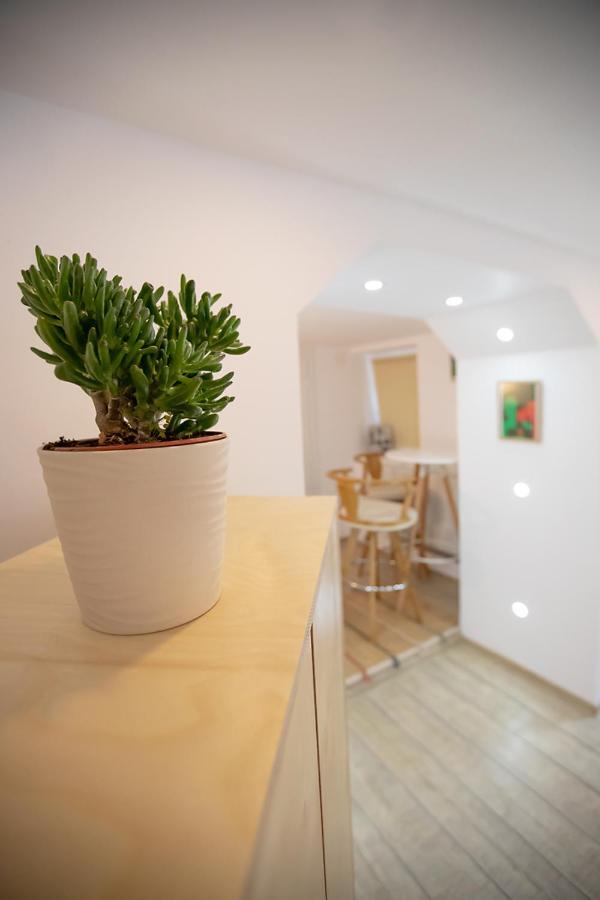 Brasha Residence Brasov Bagian luar foto